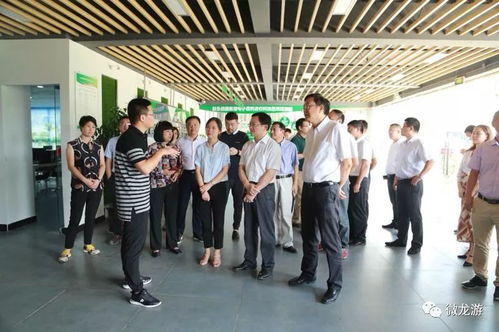 千里走親促商貿(mào) 山海共繪新藍(lán)圖——龍游黨政代表團(tuán)江門(mén)考察記